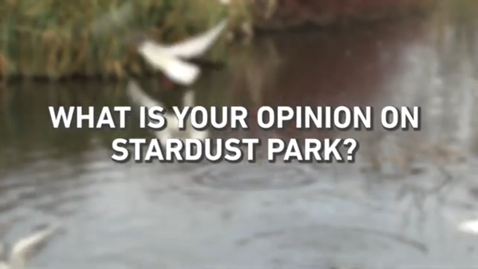 Vop Pop - Stardust Park